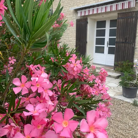 La Comtesse 아파트 Villeneuve-la-Comtesse